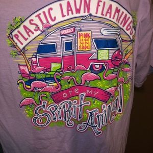 5/$25 Sassy Frass Flamingo T Shirt